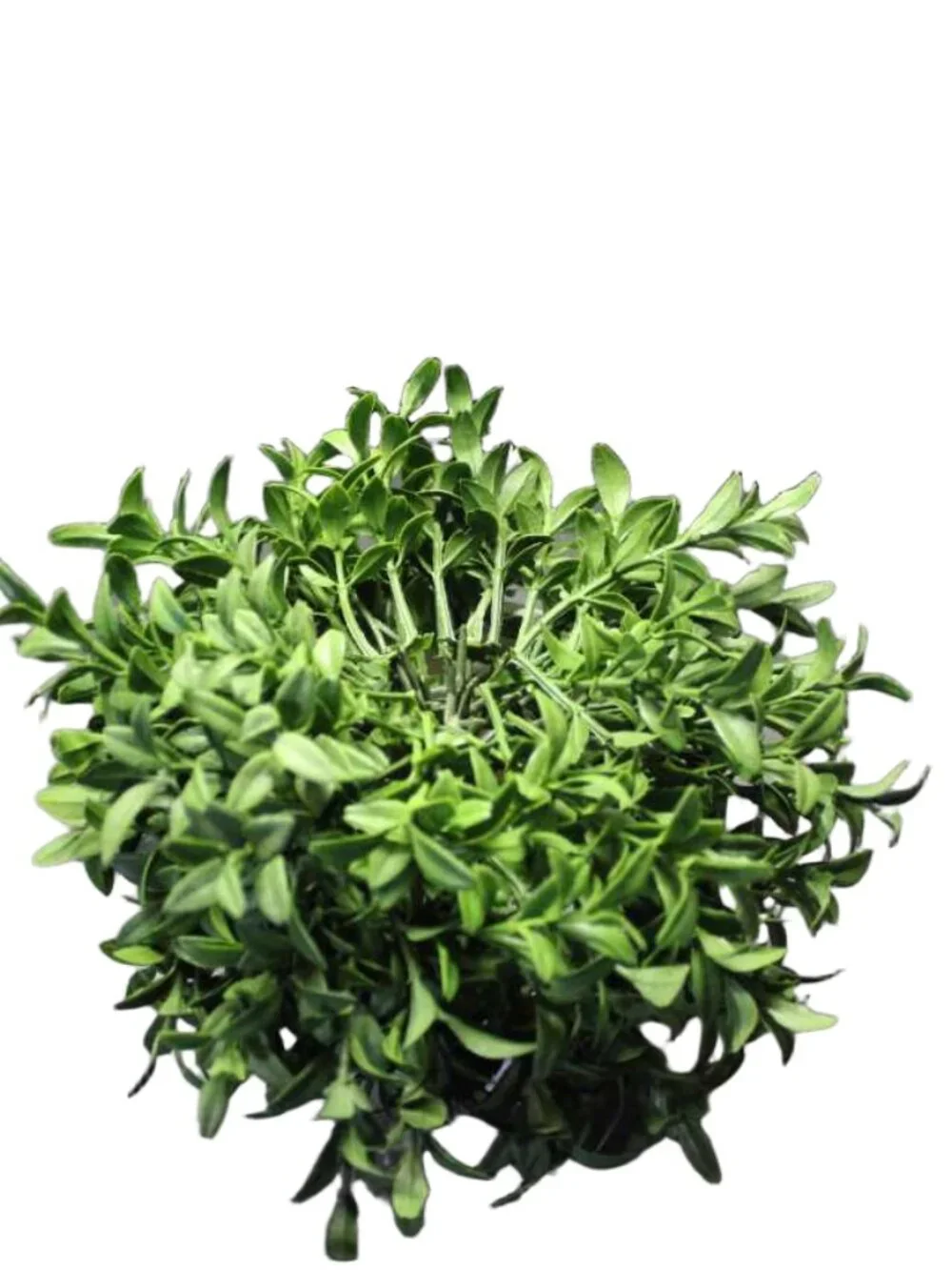 Artificial Boxwood Topiary Tree Faux Green Plant In Potted for Indoor Home Decor
